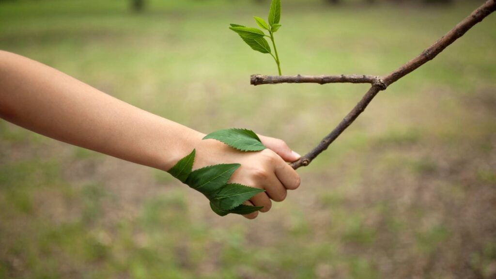 A natureza e seus ensinamentos